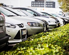 Gratis parkering