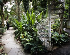 Botanisk hage