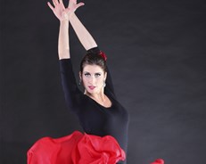 Flamencodans