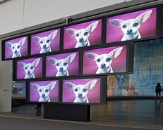 Moderna museet