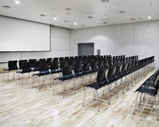 Konferansefasiliteter