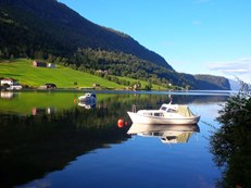 Sjøen om sommeren