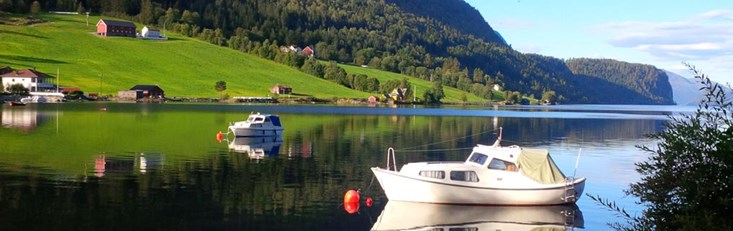 Sjøen om sommeren