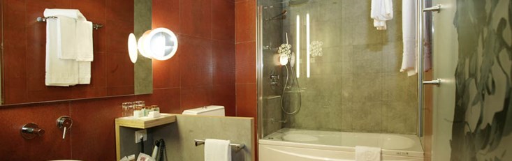 Stylish bathrooms