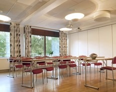 Konferanser & møter