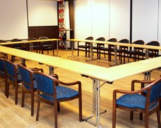 Konferanseaktiviteter