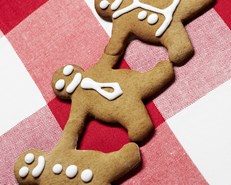 Julekonferanse