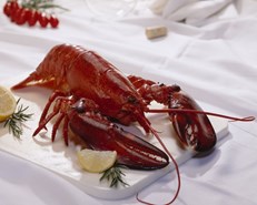 Et hav av restauranter