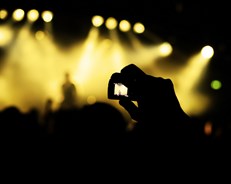 Festivals and Concerts