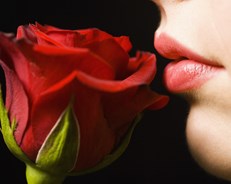 Romantic Getaway Kalmar