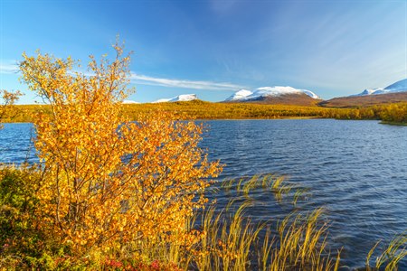 Njakajaura Abisko nasjonalpark. Bilde.