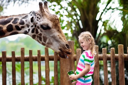 Dyrepark. Bilde.