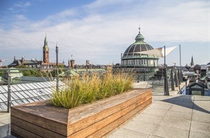 Ny Carlsberg Glyptotek København