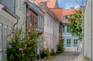 Koselig liten gate i Helsingør. Bilde.