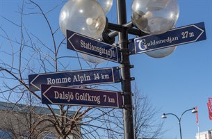 detalj