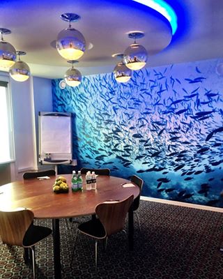 #fish #newdesign #hotel27 #wallpaper - 05.10.2024 12:08:11