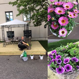 Vår kjære direktør, Hanna er brukende til så veldig mye mer enn bare administrative oppgaver😊 Her er hun i full sving med planting og ordning av uteområdet vårt som har blitt så fint☀️💖 I paviljongen kan våre gjester kose seg i ly for både sol og regn med forfriskende drikke og fine omgivelser😎☀️🌹#firsthotelsofficial #visitlillehammer #kunstnerhotellet #sommer - 24.05.2024 13:37:33
