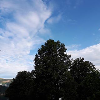 Fin morgen i Kinsarvik! #kinsarvik #blåhimmel - 03.08.2024 07:11:37